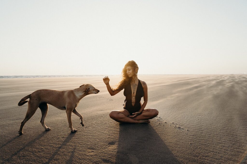 woman, dog, meditation-5885591.jpg