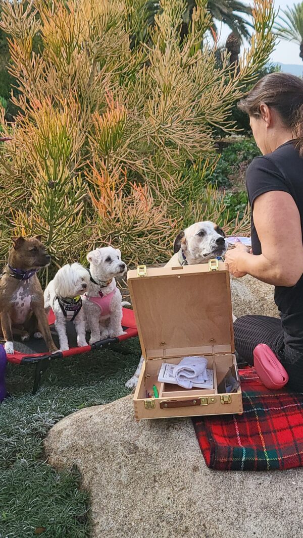 Doggie game school for problem pups