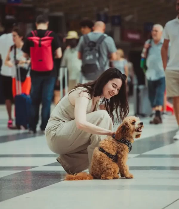 Cultural Socialization during doggie daycare in Century City