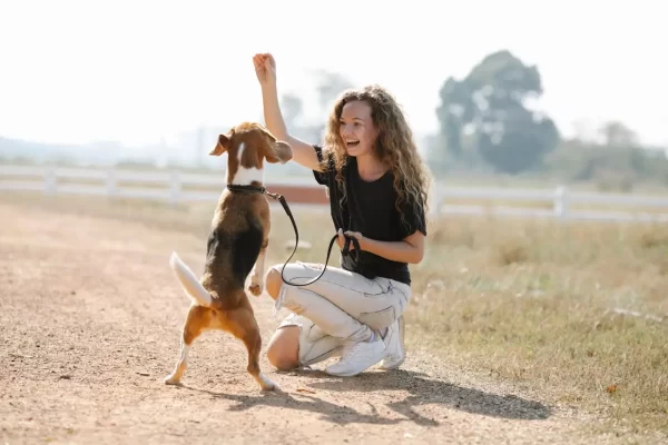 Sitting pretty teaches impulse control for hyper dogs